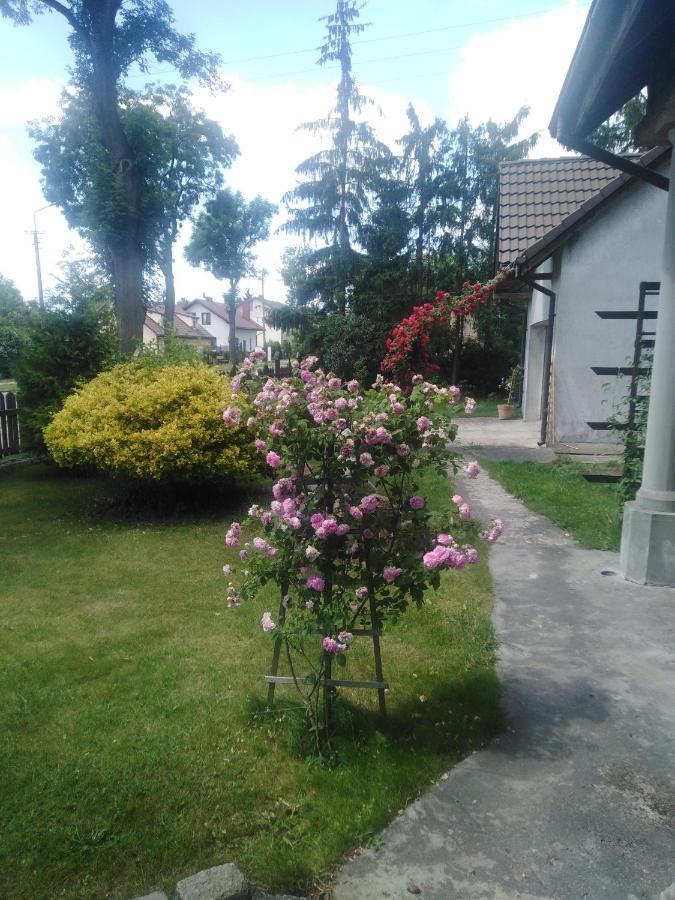 Homestay Piernikowy Dworek Lubicz