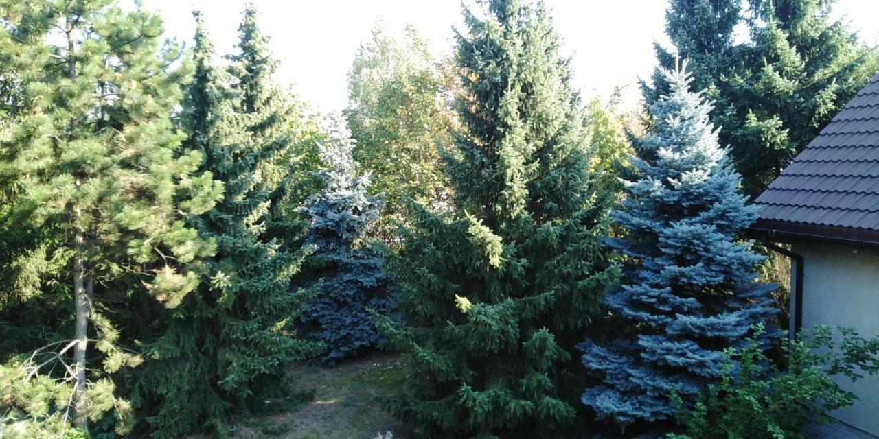 Piernikowy Dworek